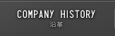 COMPANY HISTORY 沿革